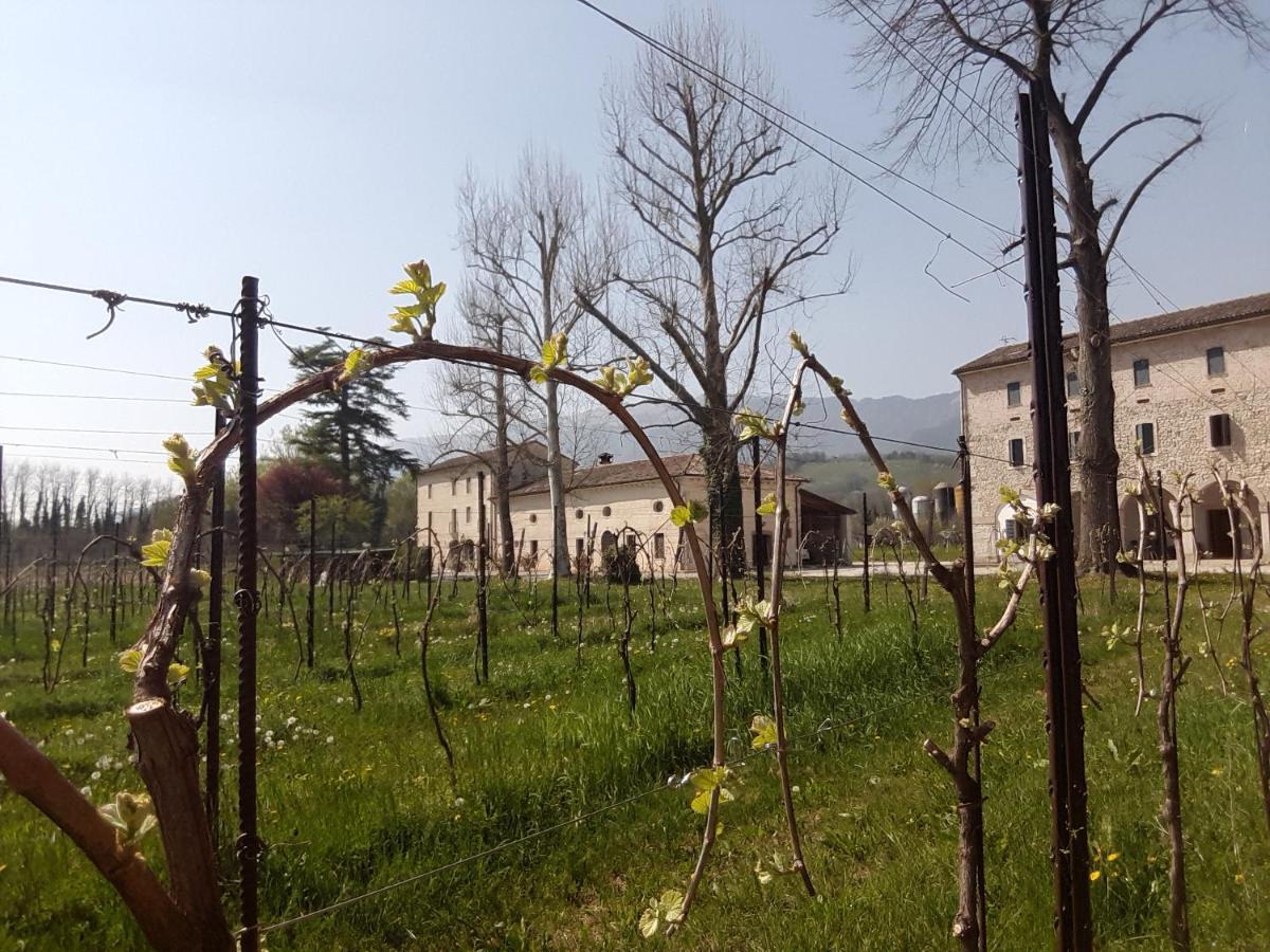 Agriturismo La Bella Follina Eksteriør bilde